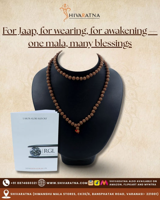 ShivaRatna Semi Chikna/Pathri Rudraksha Mala - Lab Certified 108+1 (for Jaap & Wearing) - ShivaRatna