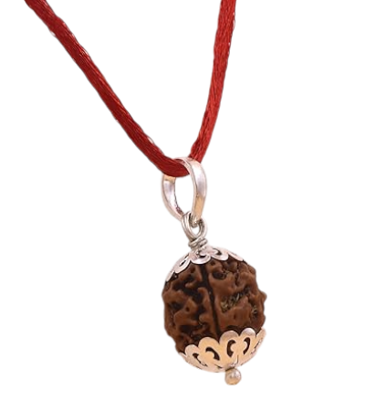 silver capped 3mukhi rudraksha