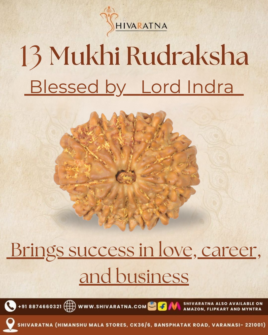 13 Mukhi Rudraksha with text about blessings by Lord Indra on a beige background