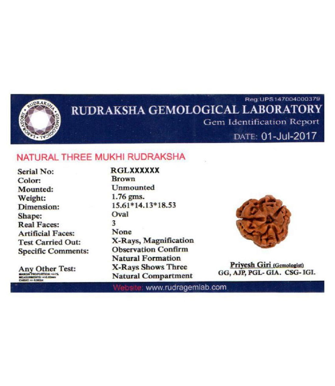 ISO certified orignal nepali 3mukhi rudraksha