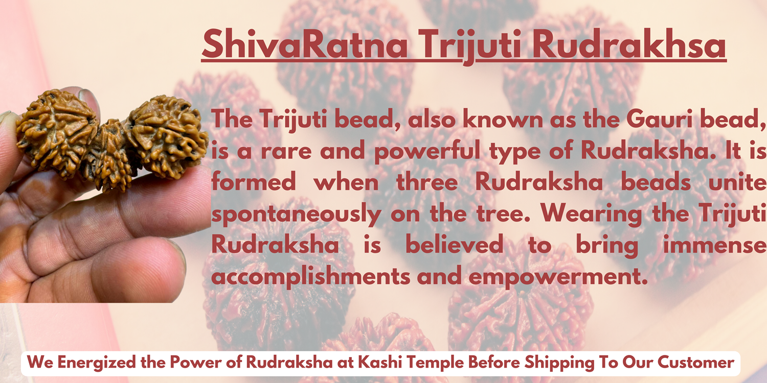 benefits of trijuti rudraksha