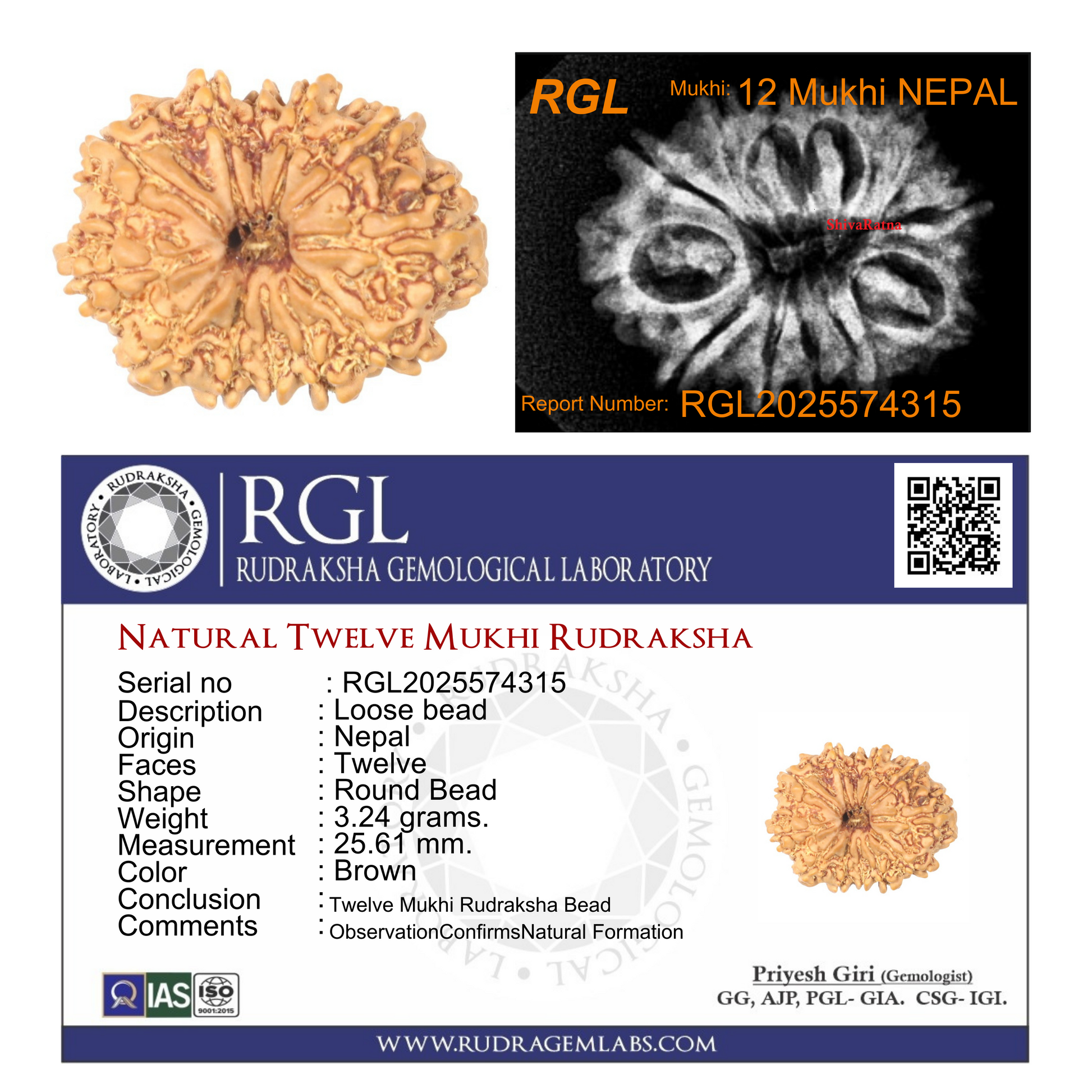 Rudraksha bead with RGL Rudraksha Gemological Laboratory certification and details.