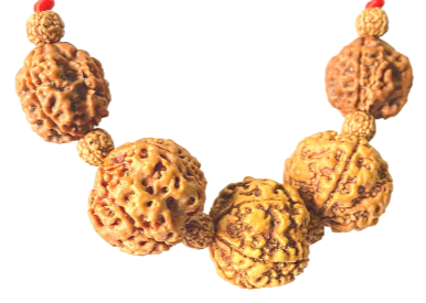 Rudraksha mala