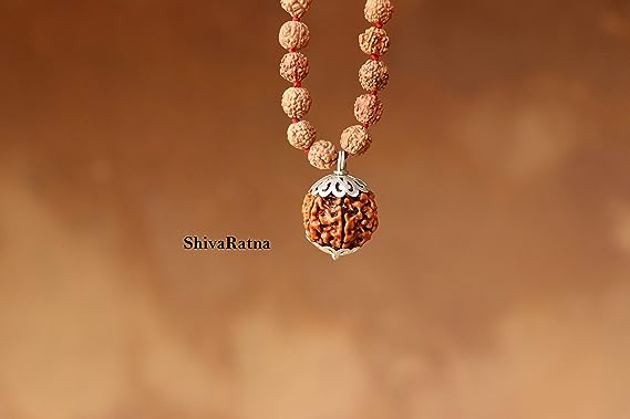 ShivaRatna 7 Mukhi Rudraksha (Nepal) + 109 Beads of 5 Mukhi Rudraksha mala (Pure Silver Cap & Lab Certified) - ShivaRatna