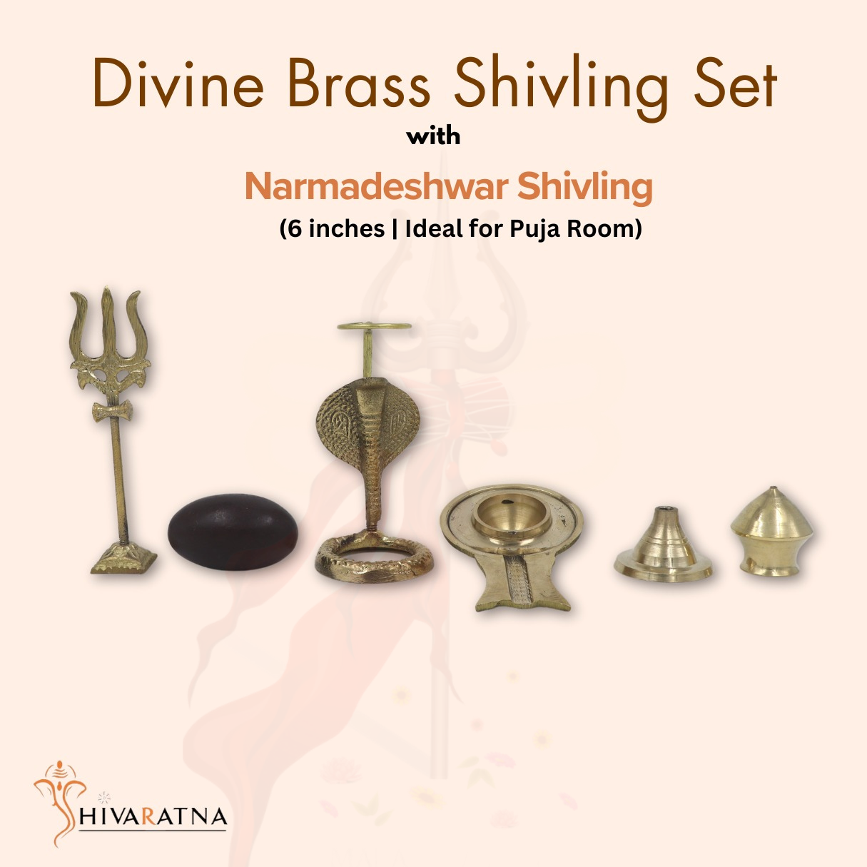 narmadeshwar shivling by shivaratna