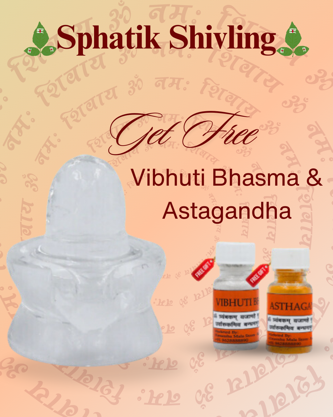 shivratri offer by shivaratna