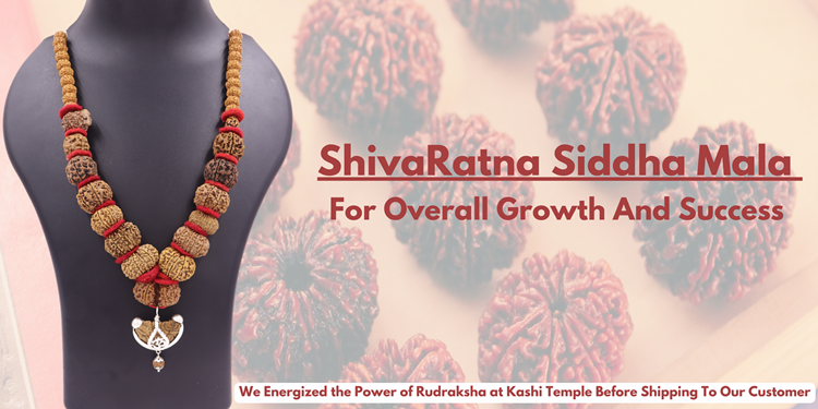 ShivaRatna Siddha Mala 1-14 Mukhi +Gaurishankar + Ganesh  Rudraksha  (Nepali Beads)- Lab Certified