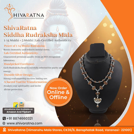 ShivaRatna Siddha Rudraksha Mala 1-14 Mukhi + 5 Mukhi Rudraksha Mala in Silver - Lab Certified