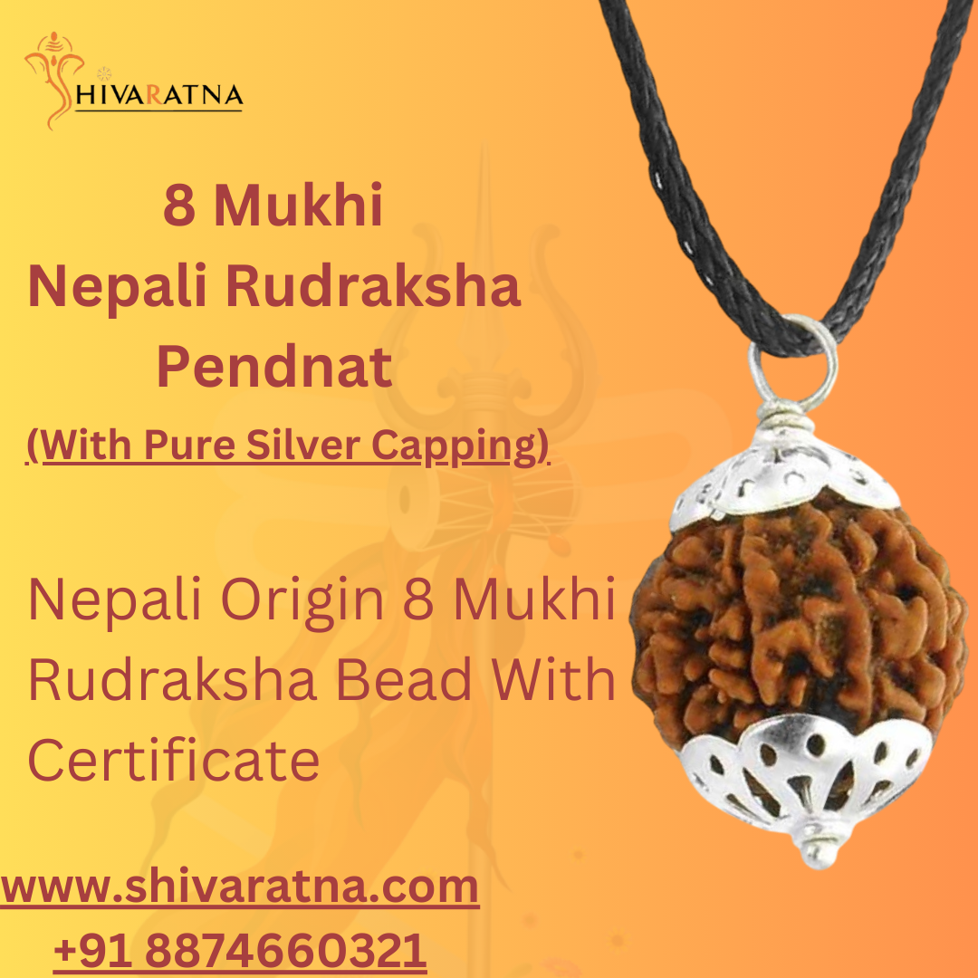 ShivaRatna 8 Mukhi Nepali Rudraksha Made in Pure Silver Cap - Lab Certified