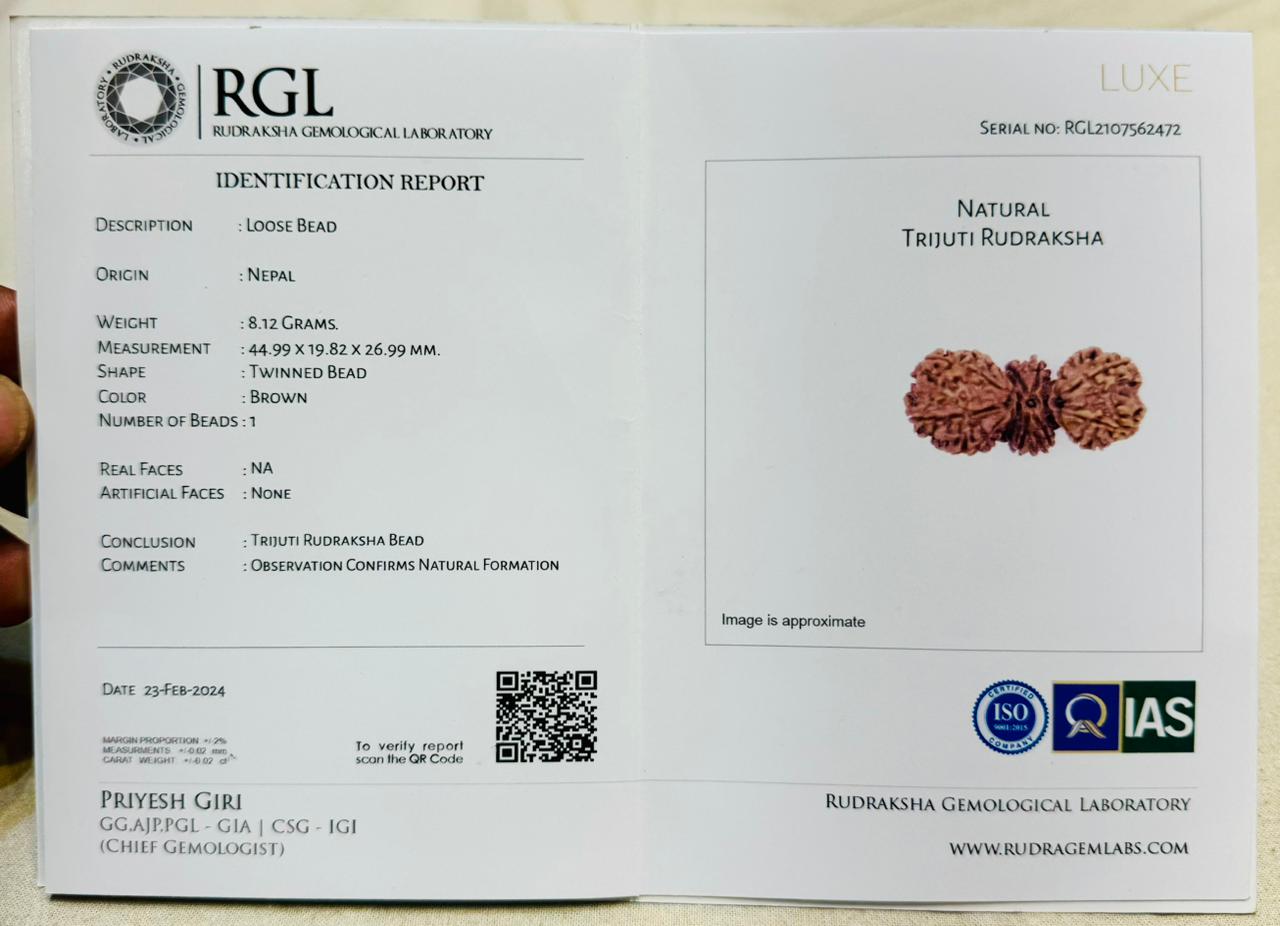 iso certified certificate of trijuti rudraksha by shivaratna